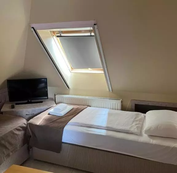 בית מלון כפרי Irini Panzió