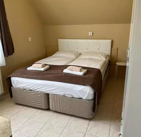 בית מלון כפרי Irini Panzió