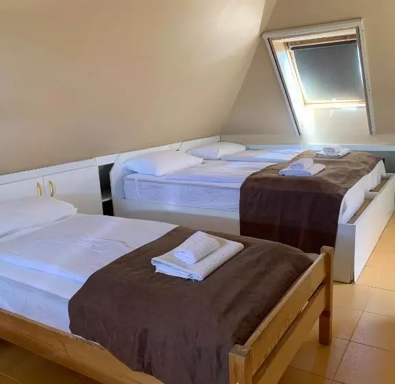 בית מלון כפרי Irini Panzió