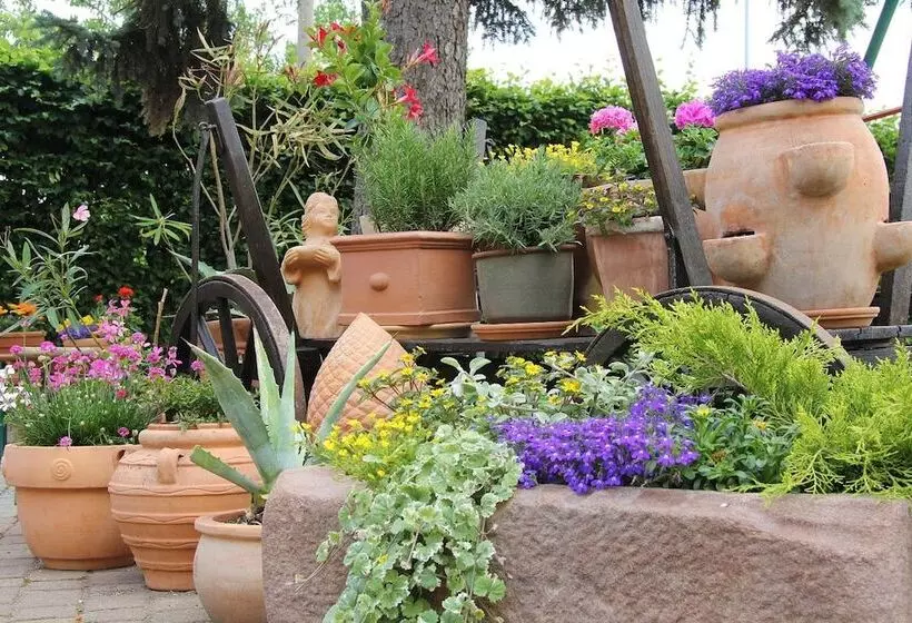 Отель Waldschlößchen