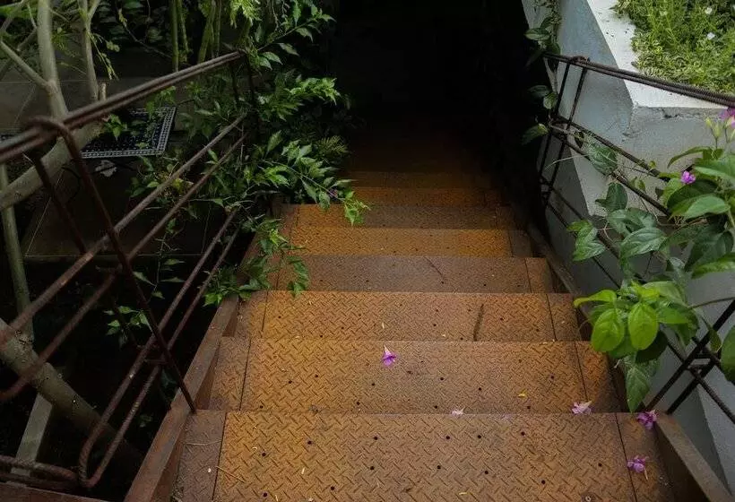 Boutique Casa Rosalía