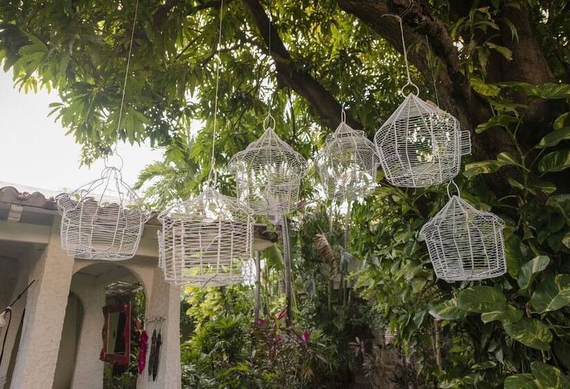 Boutique Casa Rosalía