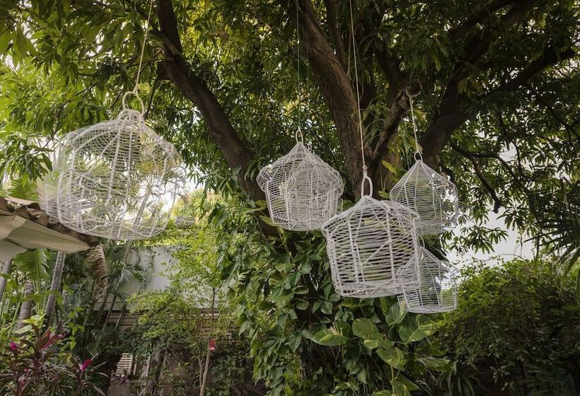 Boutique Casa Rosalía