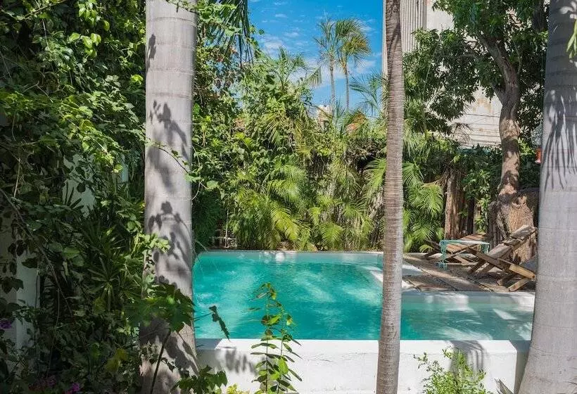 Boutique Casa Rosalía