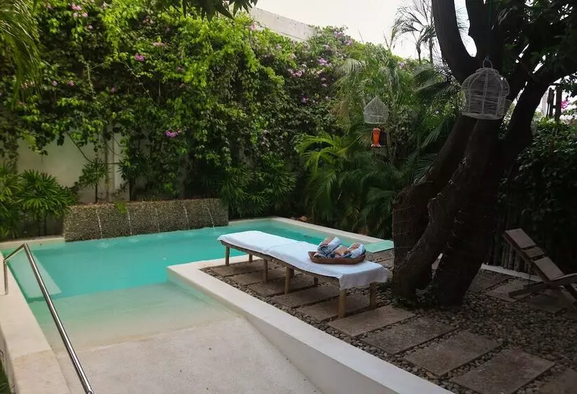 Boutique Casa Rosalía