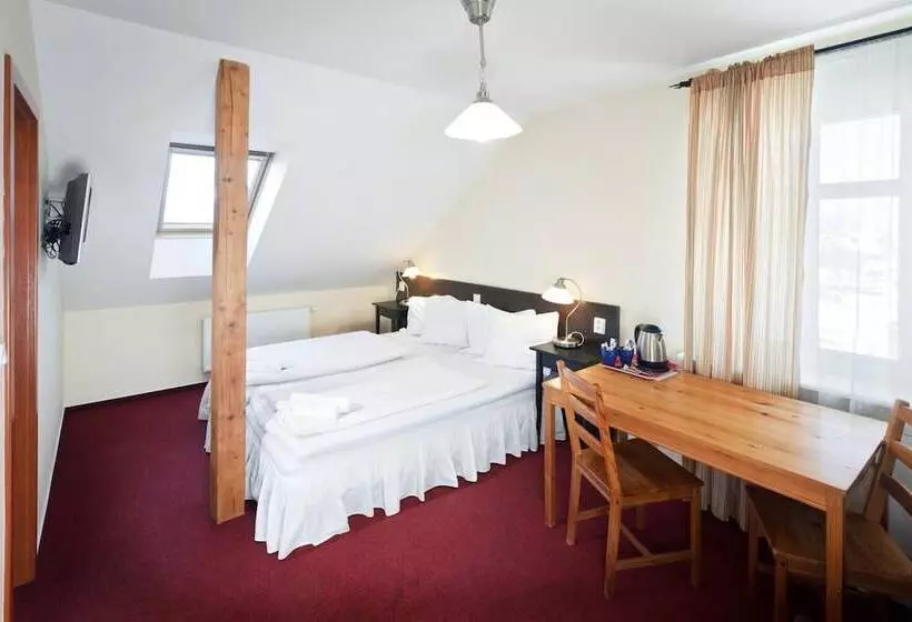 پانسیون Pytloun Penzion Zelený Háj