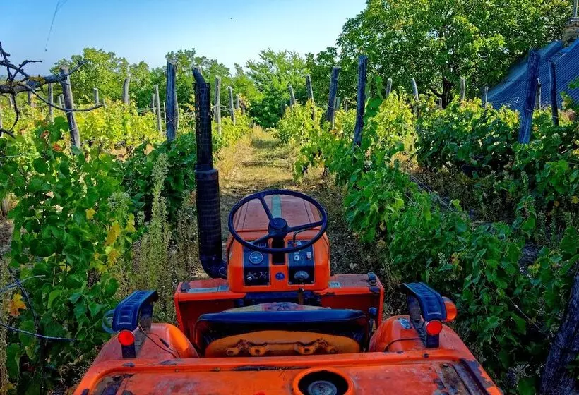 Fried Kastély Hotel Simontornya