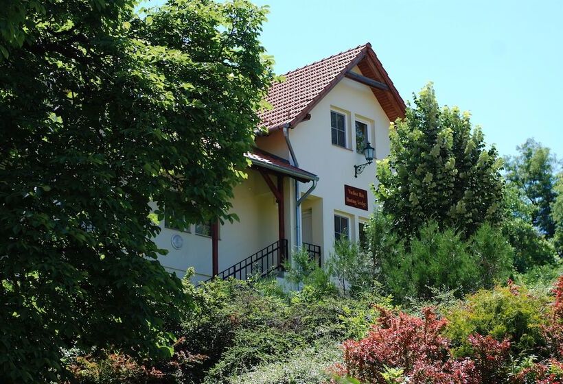 Fried Kastély Hotel Simontornya