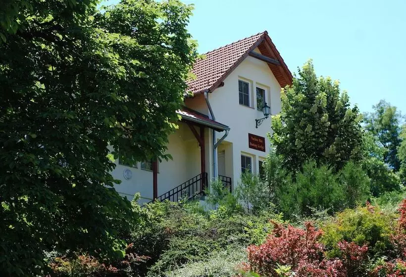 Fried Kastély Hotel Simontornya