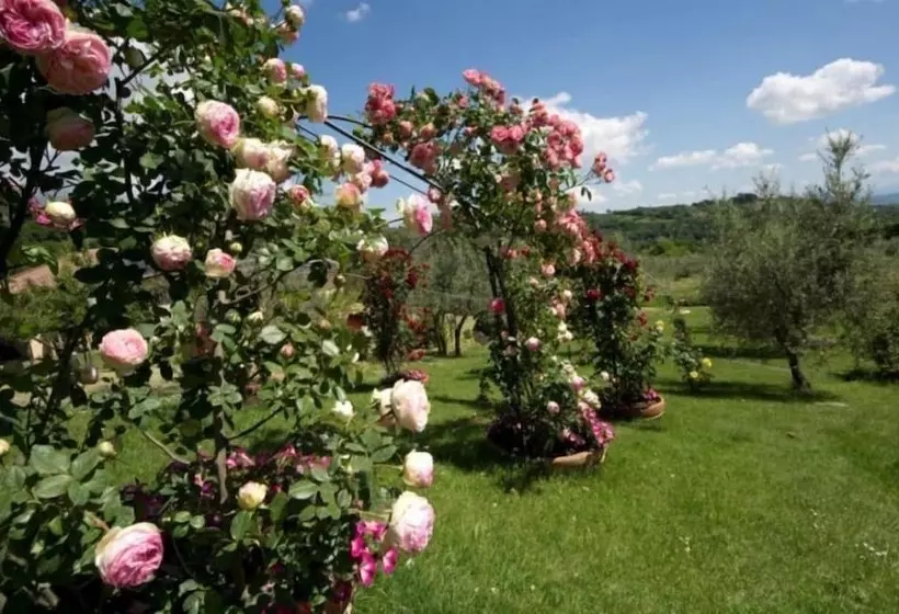فندق Agriturismo Ardene