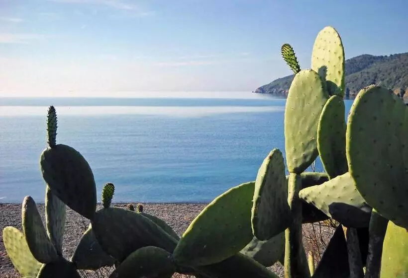 ホテル Capo Sud