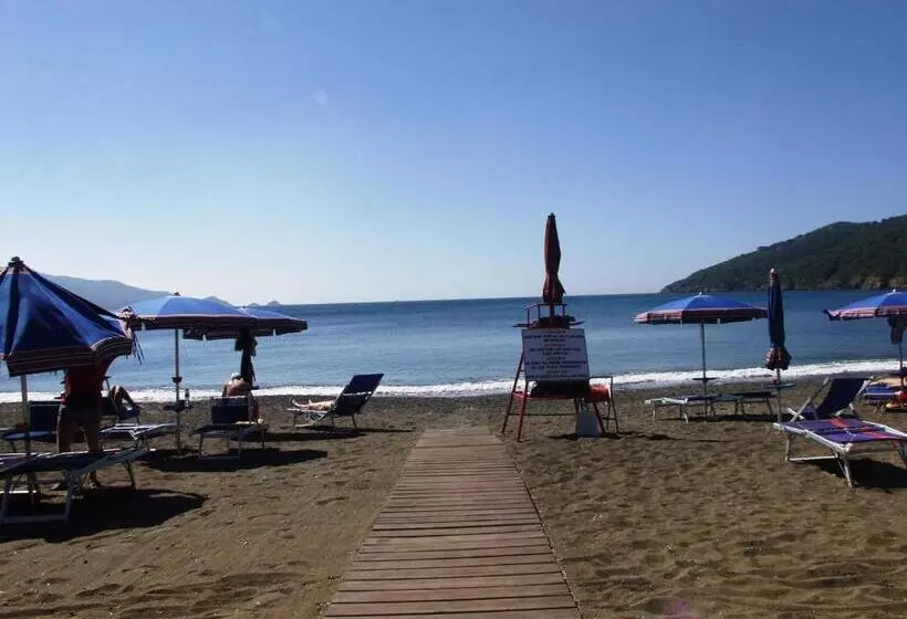 ホテル Capo Sud