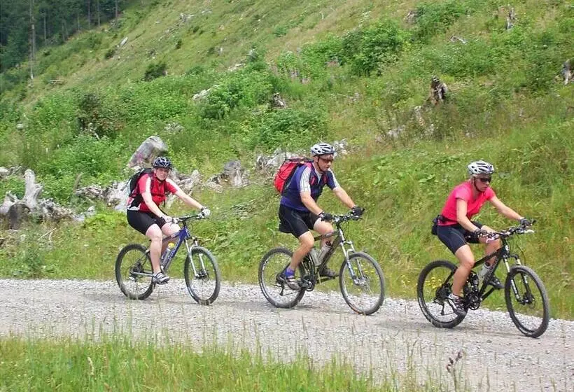 בית מלון כפרי Die Tanne