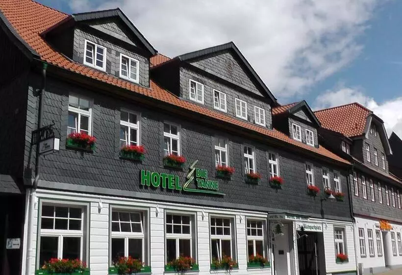 בית מלון כפרי Die Tanne