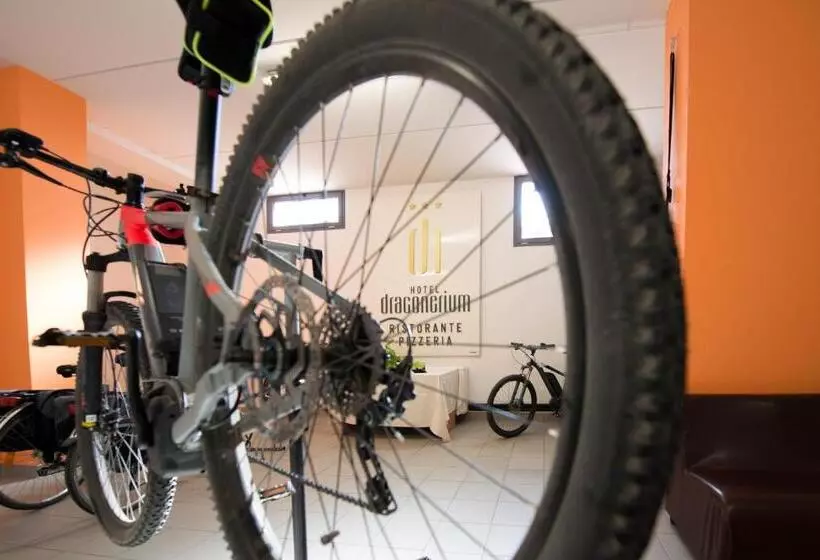 Отель Draconerium