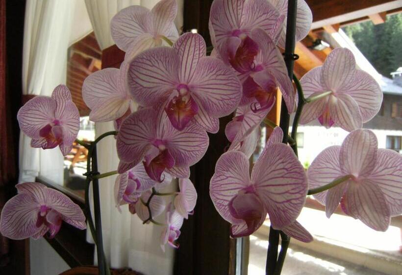 فندق Garni Thurwieser   B&b