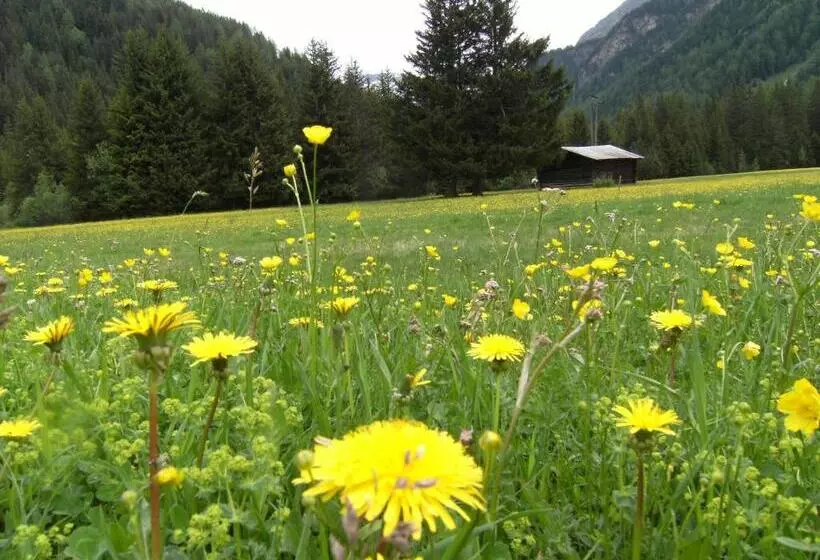 Отель Garni Thurwieser   B&b