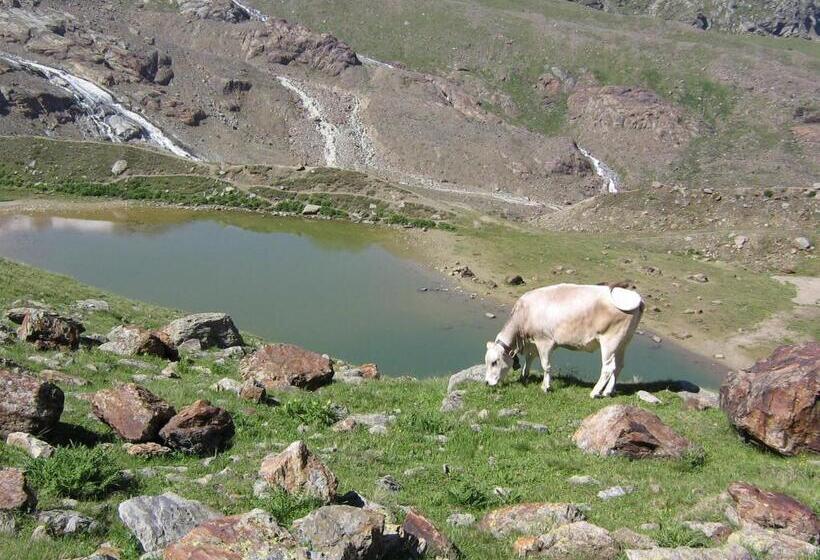 فندق Garni Thurwieser   B&b