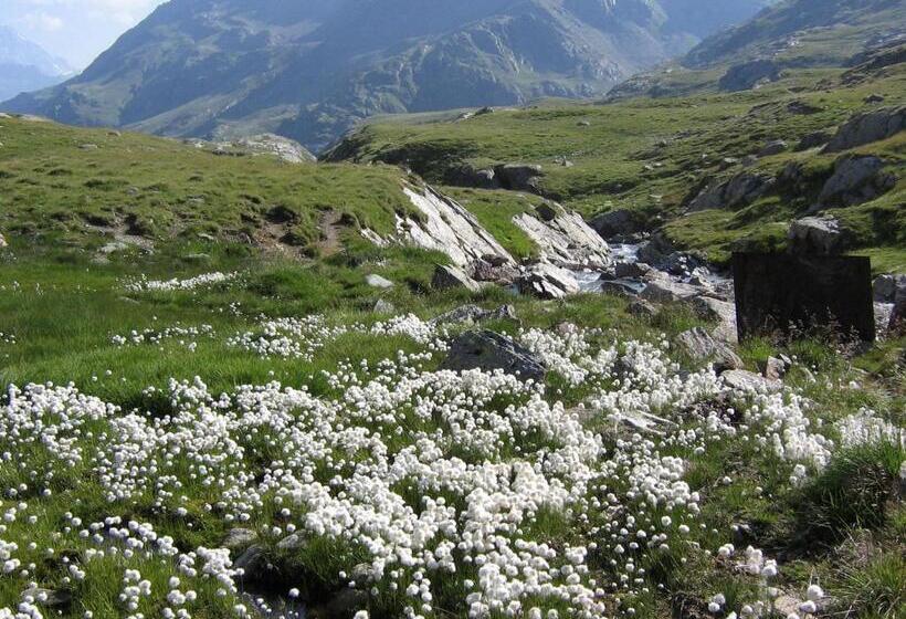 فندق Garni Thurwieser   B&b