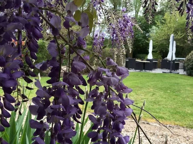 Отель Hôtel & Restaurant Le Moulin De Chaméron, The Originals Relais