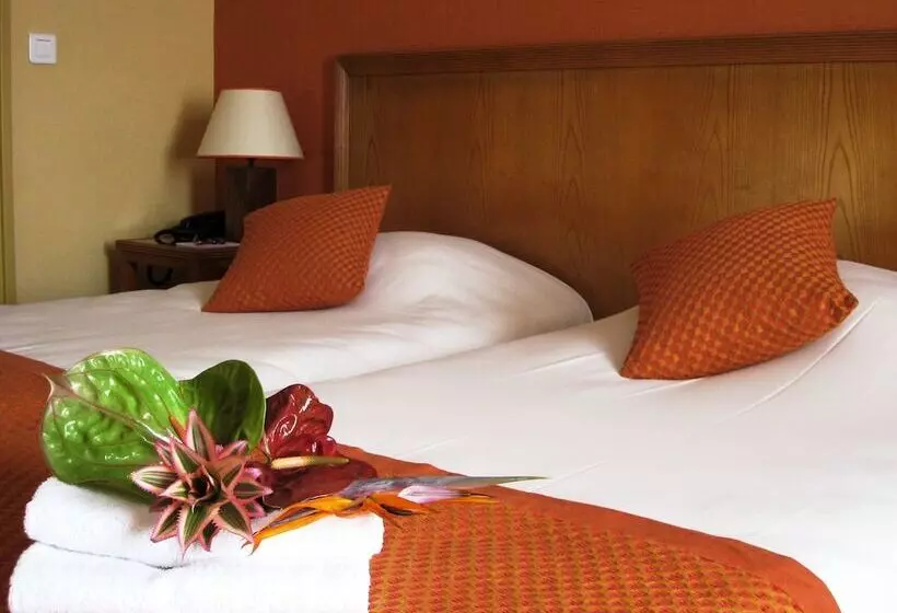 酒店 Le Grand Monarque