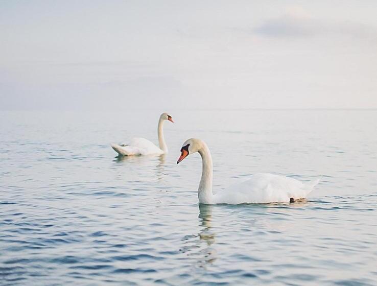 فندق Nuova Barcaccia