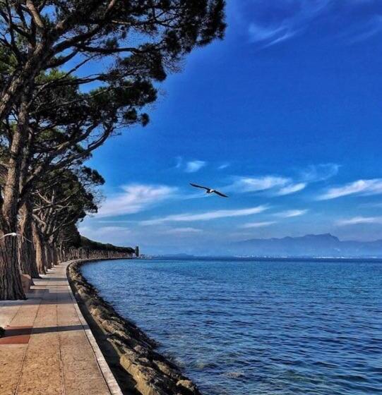 فندق Nuova Barcaccia