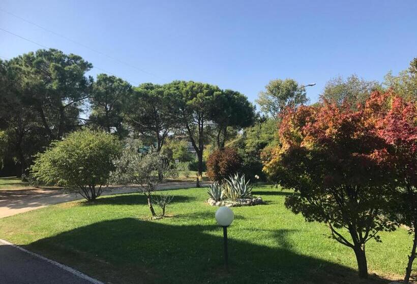 فندق Nuova Barcaccia