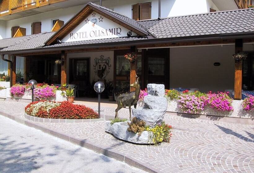 酒店 Olisamir