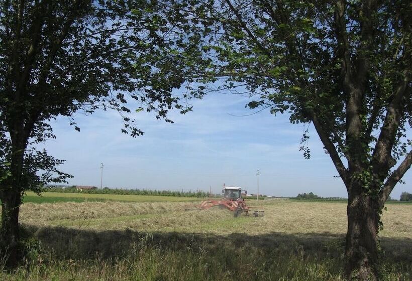 בית מלון כפרי Ravaglia Grande