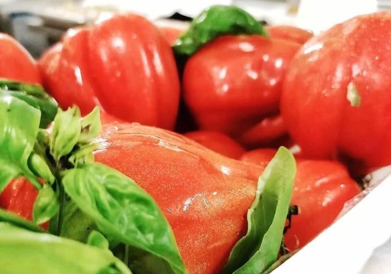 בית מלון כפרי San Marco