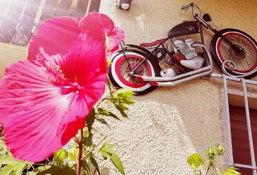 Пансион Alexandres