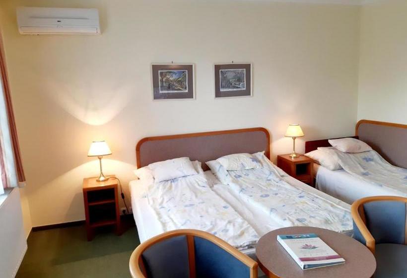 Apartment Pension Rideg Heviz