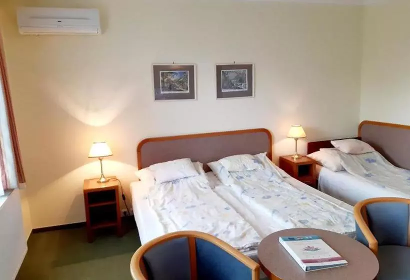 Apartment Pension Rideg Heviz