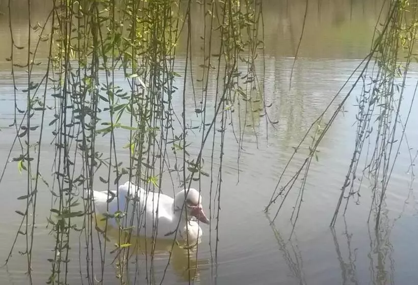 فندق Agriturismo San Gallo