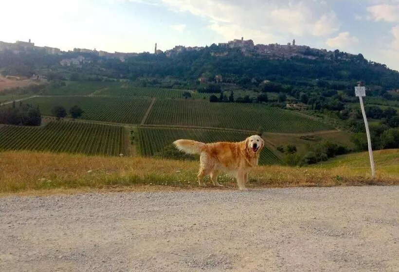 فندق Agriturismo San Gallo