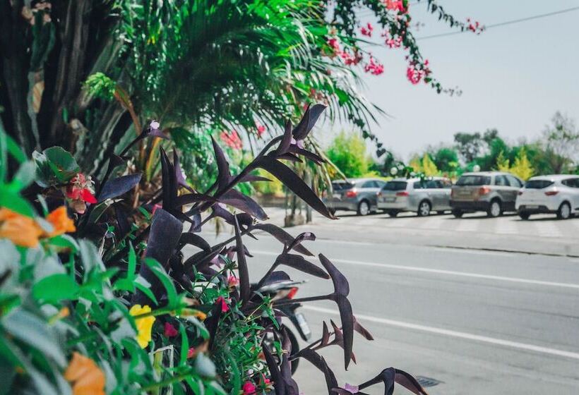 酒店 Bobby Executive