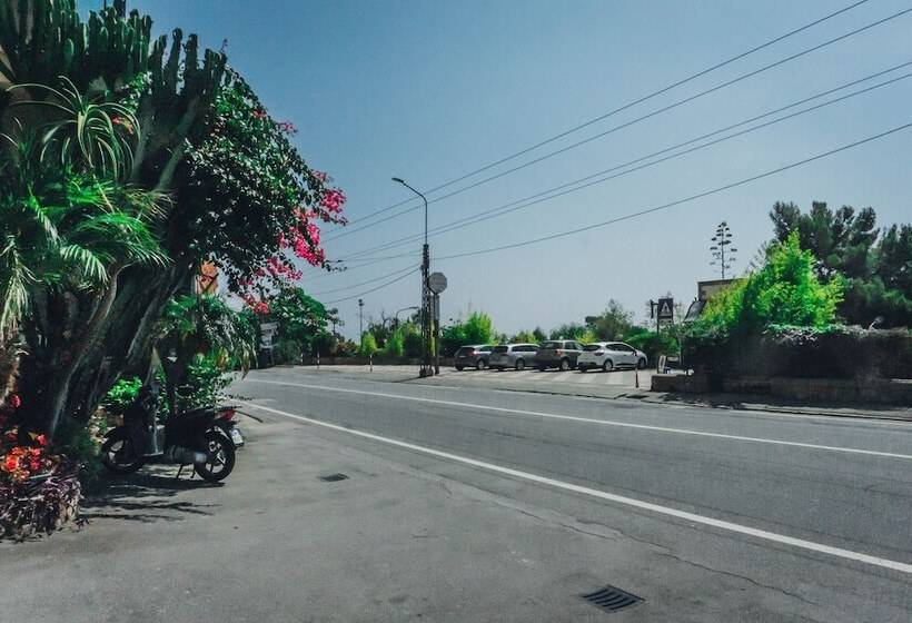 酒店 Bobby Executive