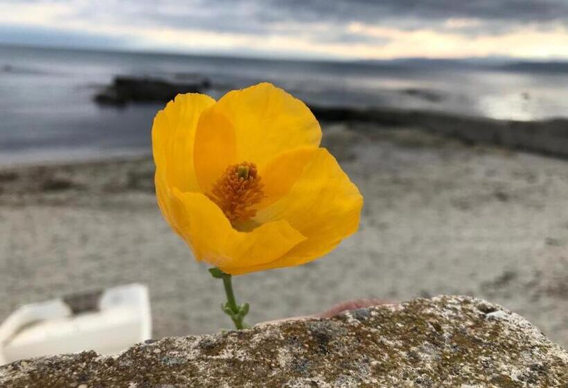 Отель La Casa Di Tina