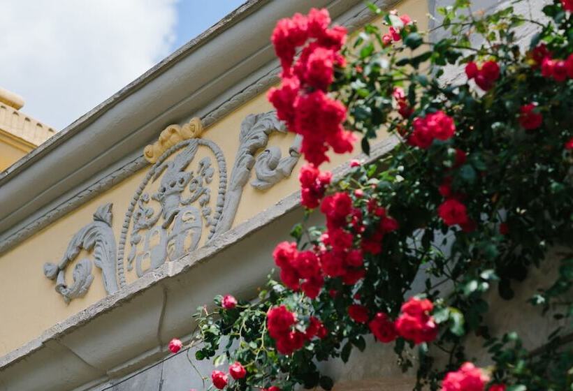 בית מלון כפרי Landgoed Kasteel De Hoogenweerth