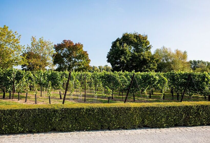 בית מלון כפרי Landgoed Kasteel De Hoogenweerth