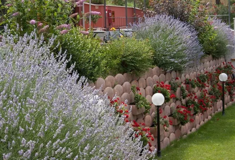 ホテル Oasi Beach