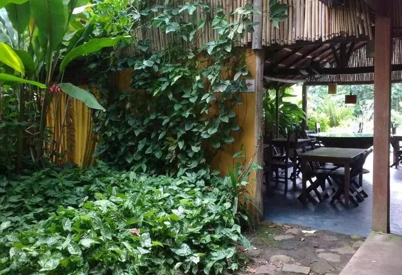 Отель Pousada Magia Verde