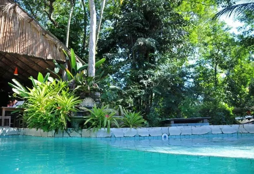 Отель Pousada Magia Verde