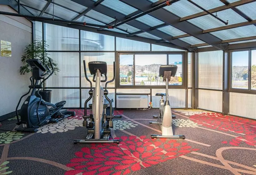 モーテル River Bend Inn  Pigeon Forge