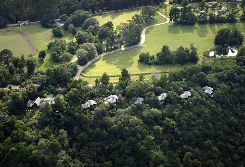 Tsala Treetop Lodge