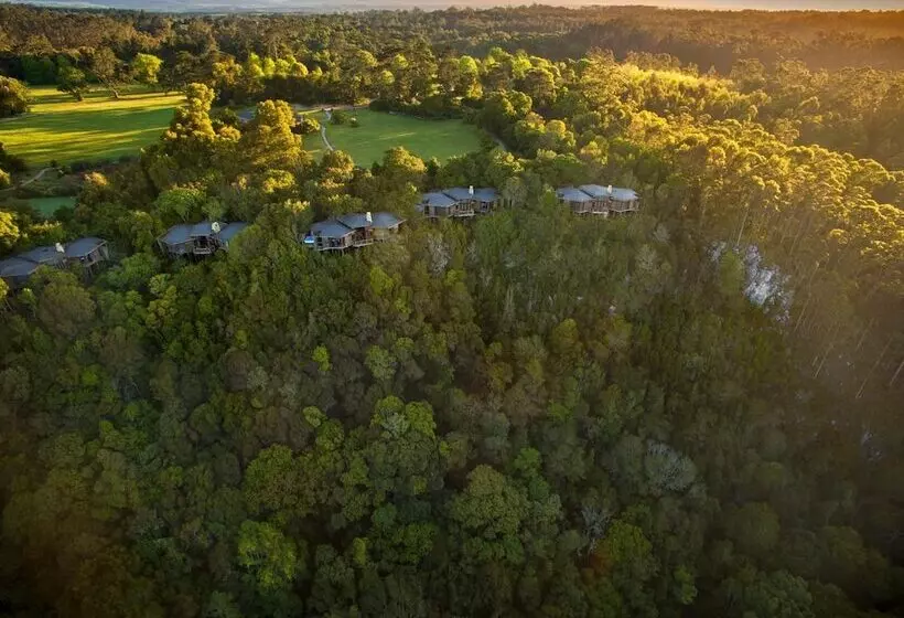 Tsala Treetop Lodge
