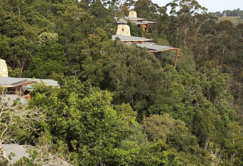 Tsala Treetop Lodge