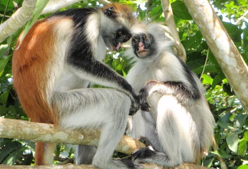 Hotel Konokono Beach Resort And Isaraya Luxury Overwater Villas