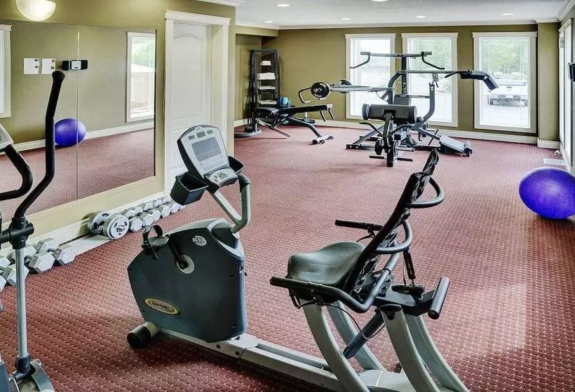 ホテル Lakeview Inns & Suites  Edson Airport West